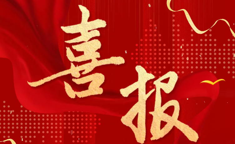 重磅喜讯！上海枫动体育文化发展有限公司荣获上海市杨浦区篮球协会2025年度贡献奖！